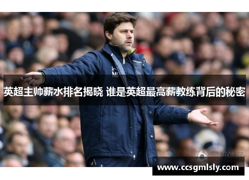 英超主帅薪水排名揭晓 谁是英超最高薪教练背后的秘密