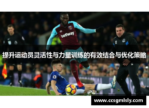 提升运动员灵活性与力量训练的有效结合与优化策略
