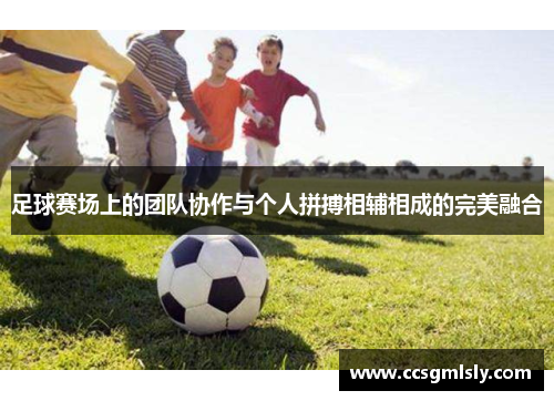 足球赛场上的团队协作与个人拼搏相辅相成的完美融合