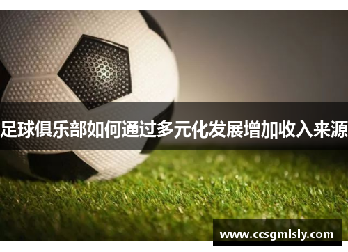 足球俱乐部如何通过多元化发展增加收入来源