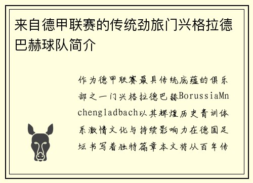 来自德甲联赛的传统劲旅门兴格拉德巴赫球队简介